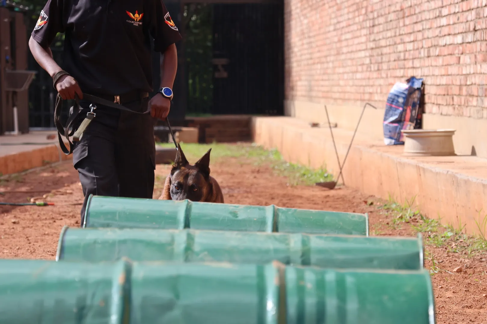 Gallery Counterpoint Risk